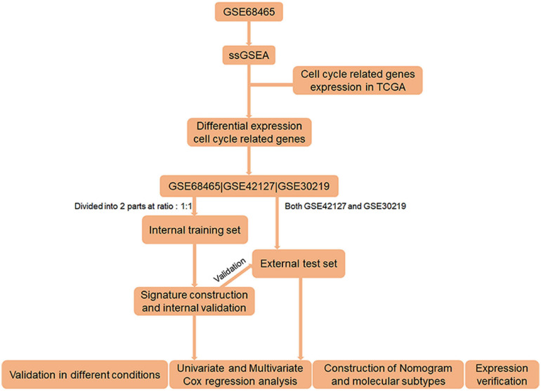 FIGURE 1