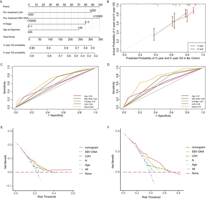 FIGURE 3