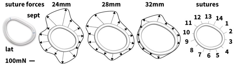 Figure 8