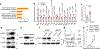 Extended Data Fig. 5 |