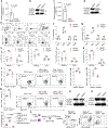 Extended Data Fig. 2 |