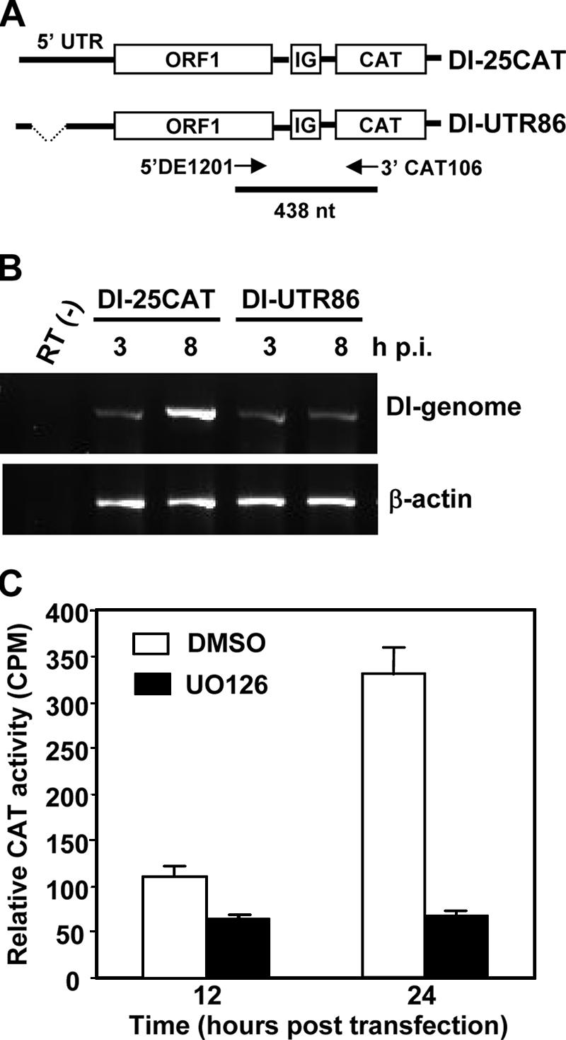 FIG. 9.