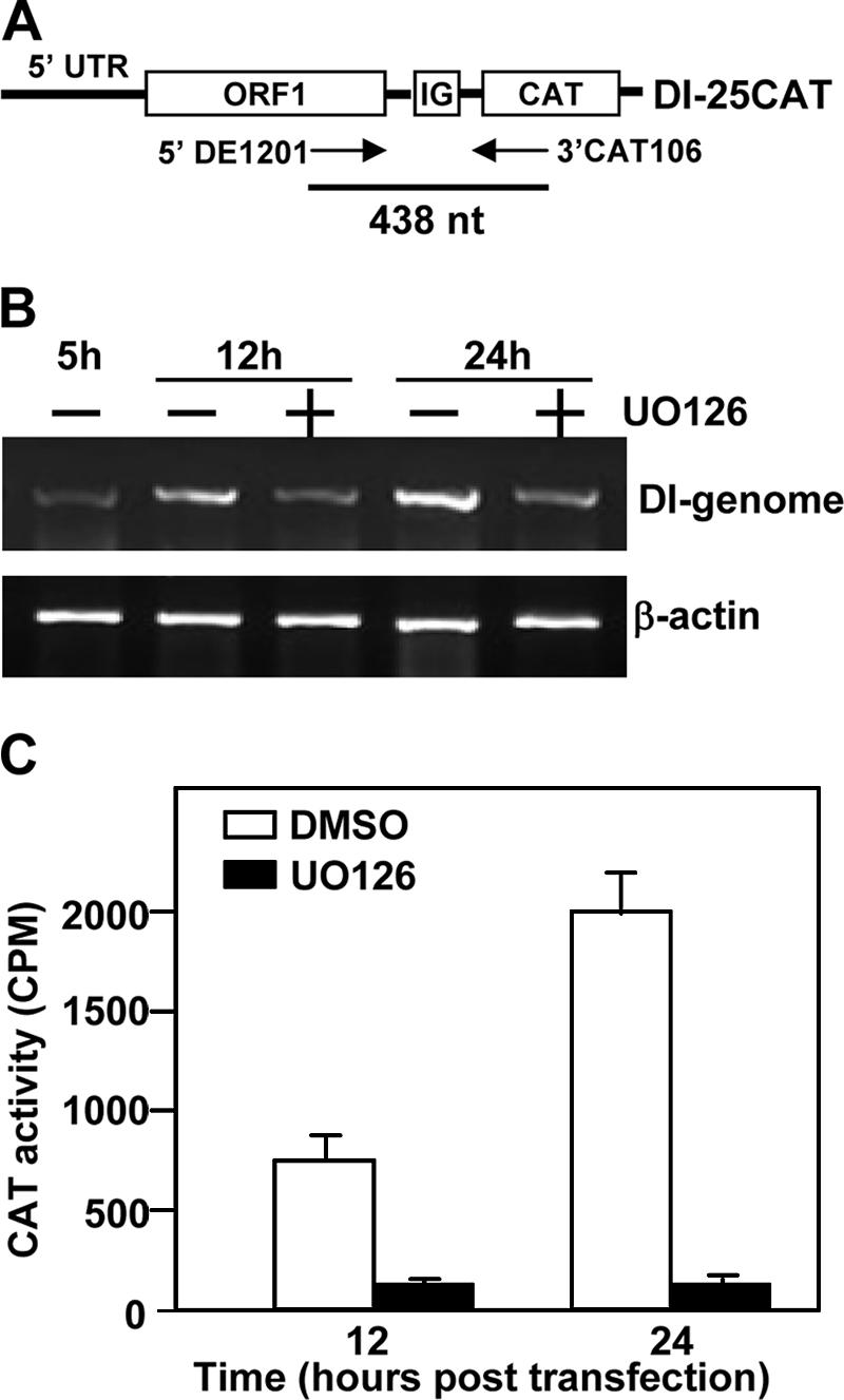 FIG. 8.