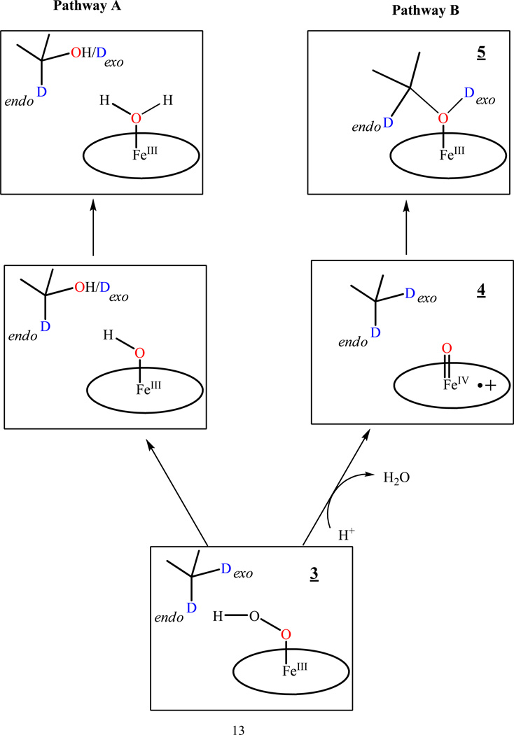 Scheme 2