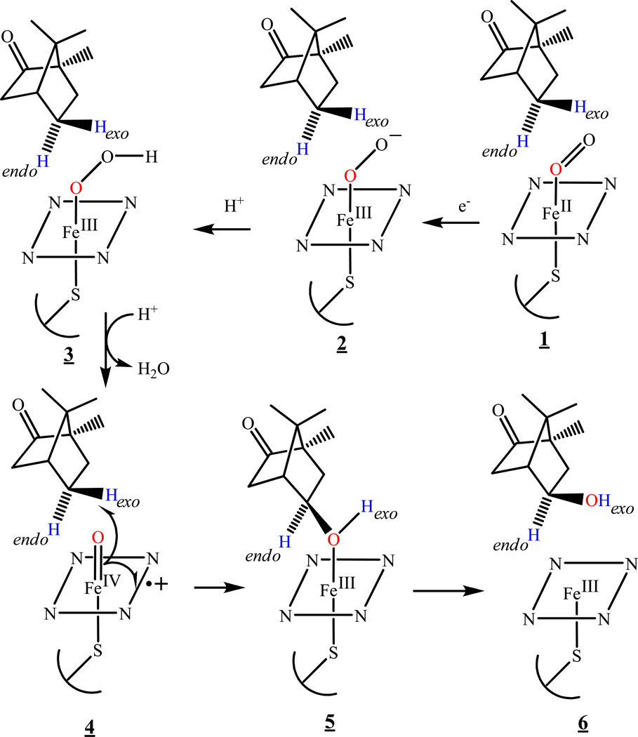 Scheme 1