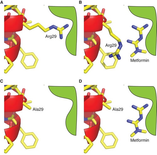 Fig. 9