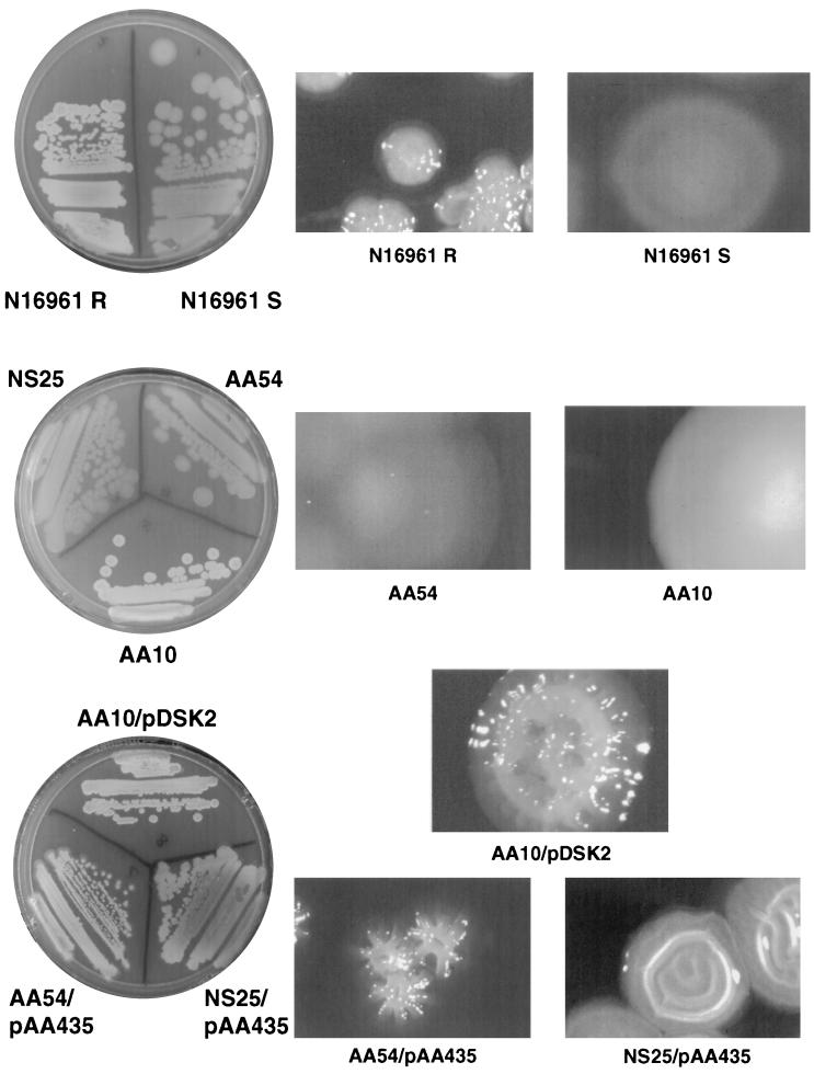 FIG. 4