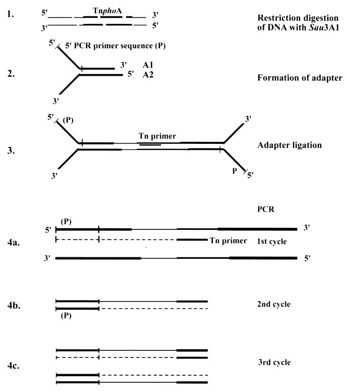 FIG. 1