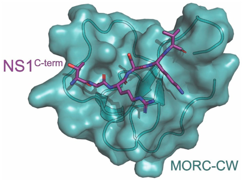 Figure 6