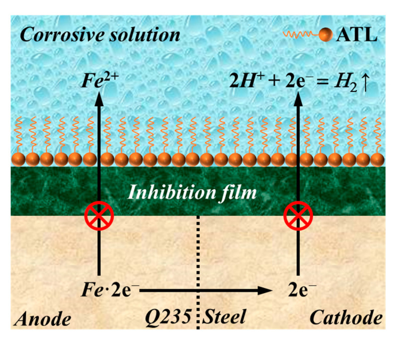 Figure 12