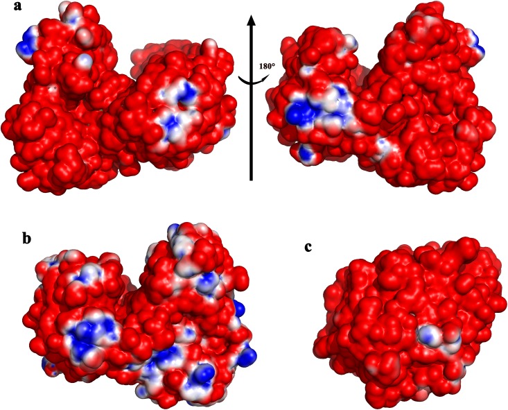 Fig 5