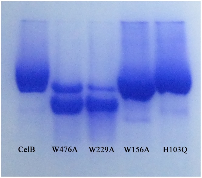 Fig 6