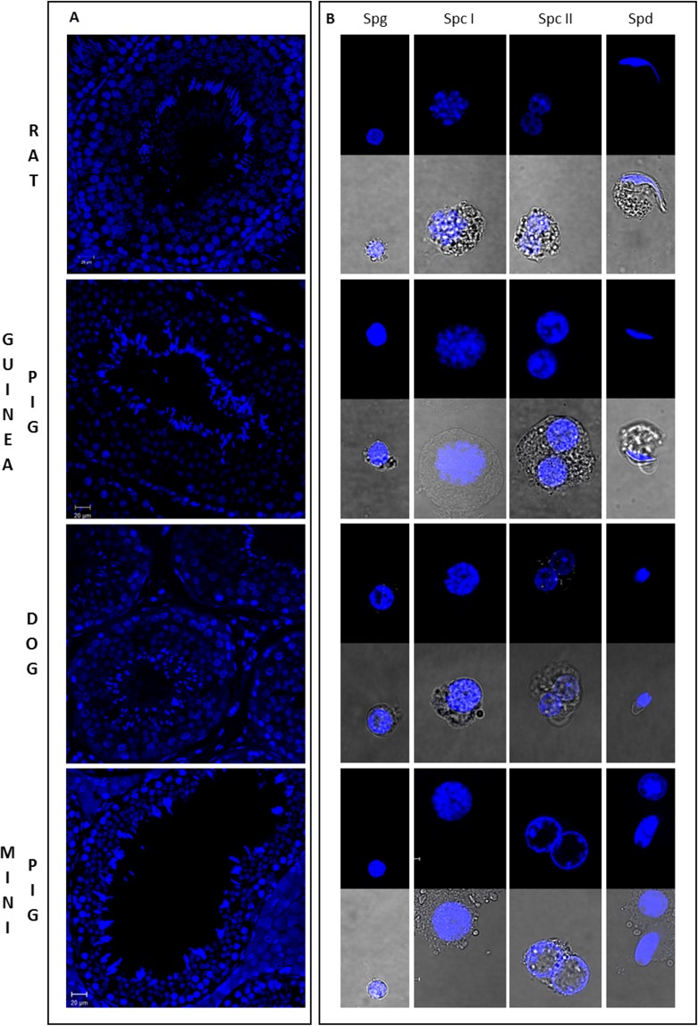 FIG. 3