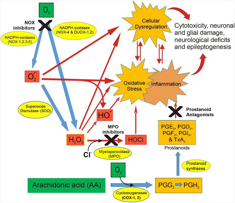 Figure 1: