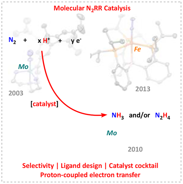 graphic file with name nihms-1624154-f0001.jpg