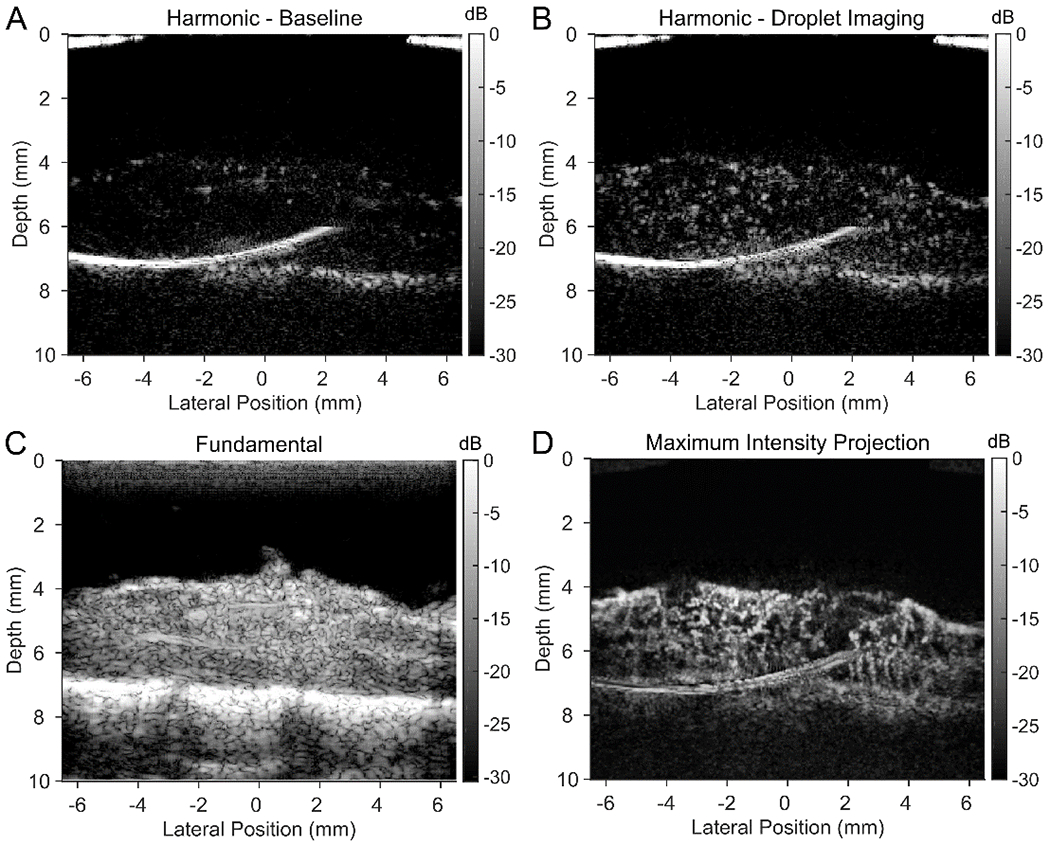 Figure 5: