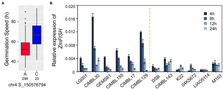 Figure 6