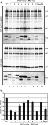 FIG. 4.