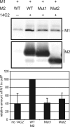 FIG. 5.