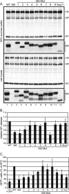 FIG. 2.