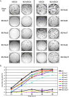 FIG. 3.