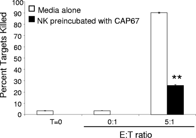 FIG. 8.