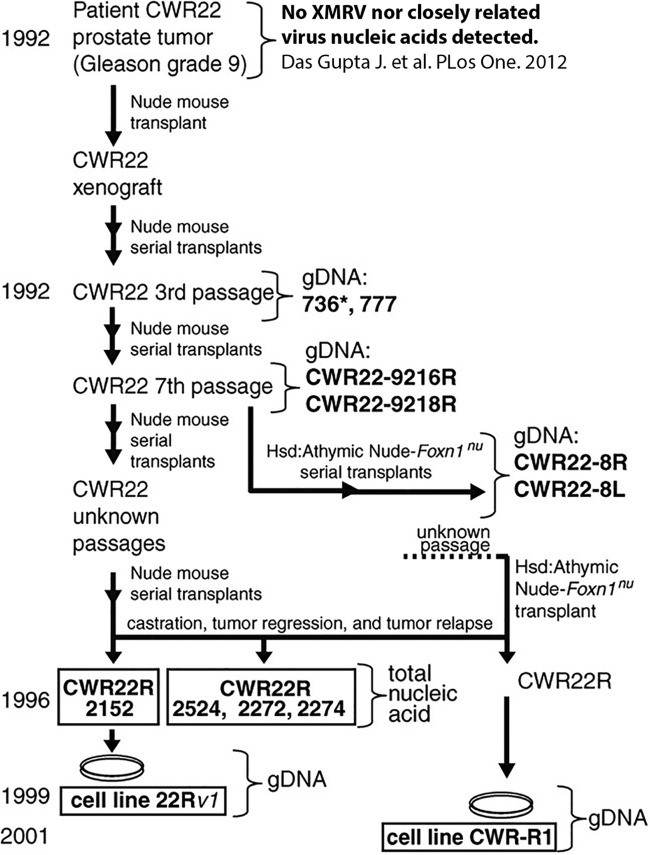 FIG 1