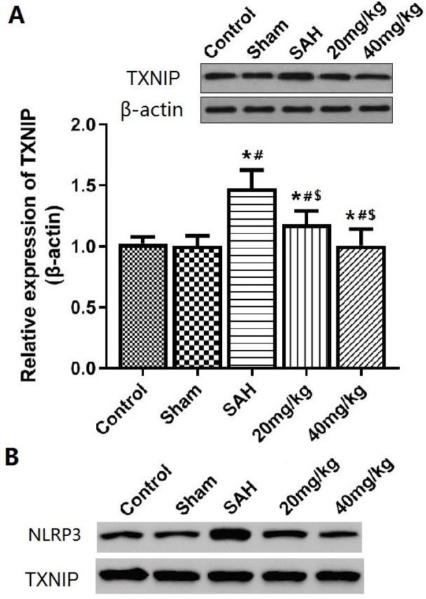 Figure 6