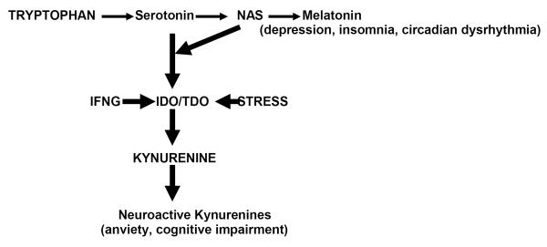 Fig.1