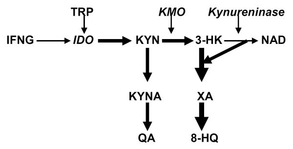 Fig.3