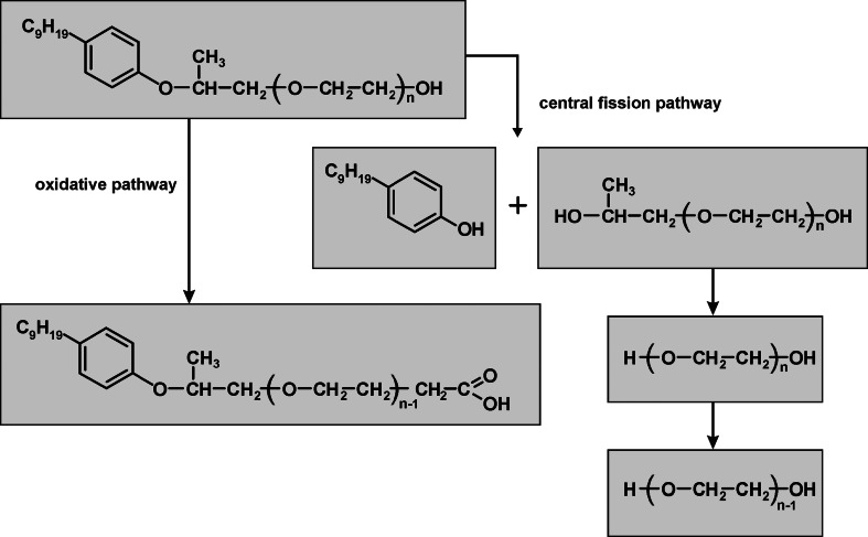 Fig. 7