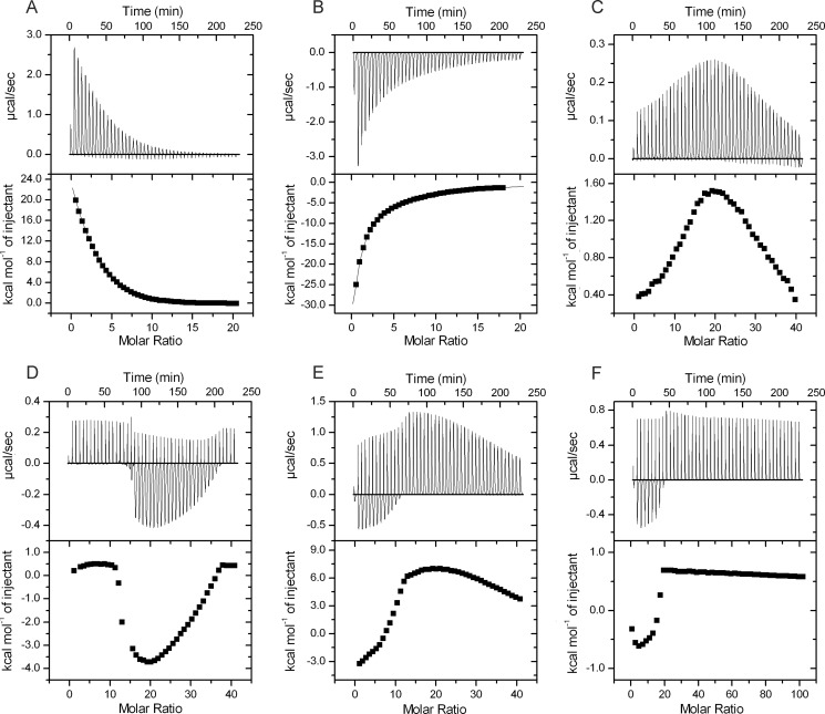 FIGURE 4.