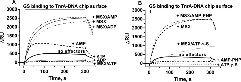 FIGURE 7.