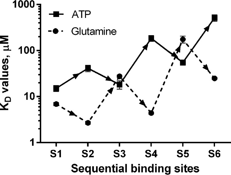 FIGURE 5.