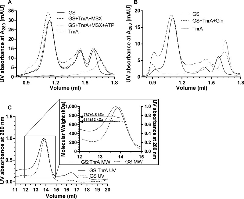 FIGURE 9.