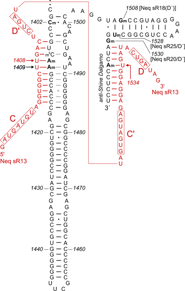 Figure 5.