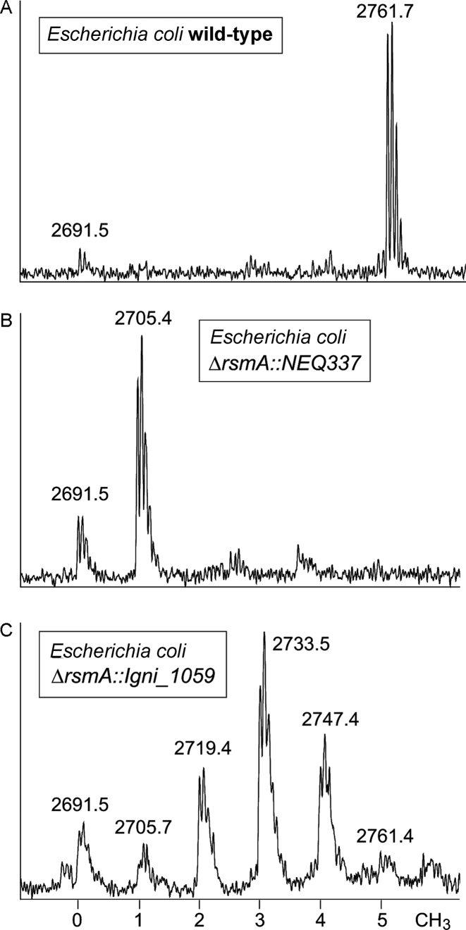 Figure 3.