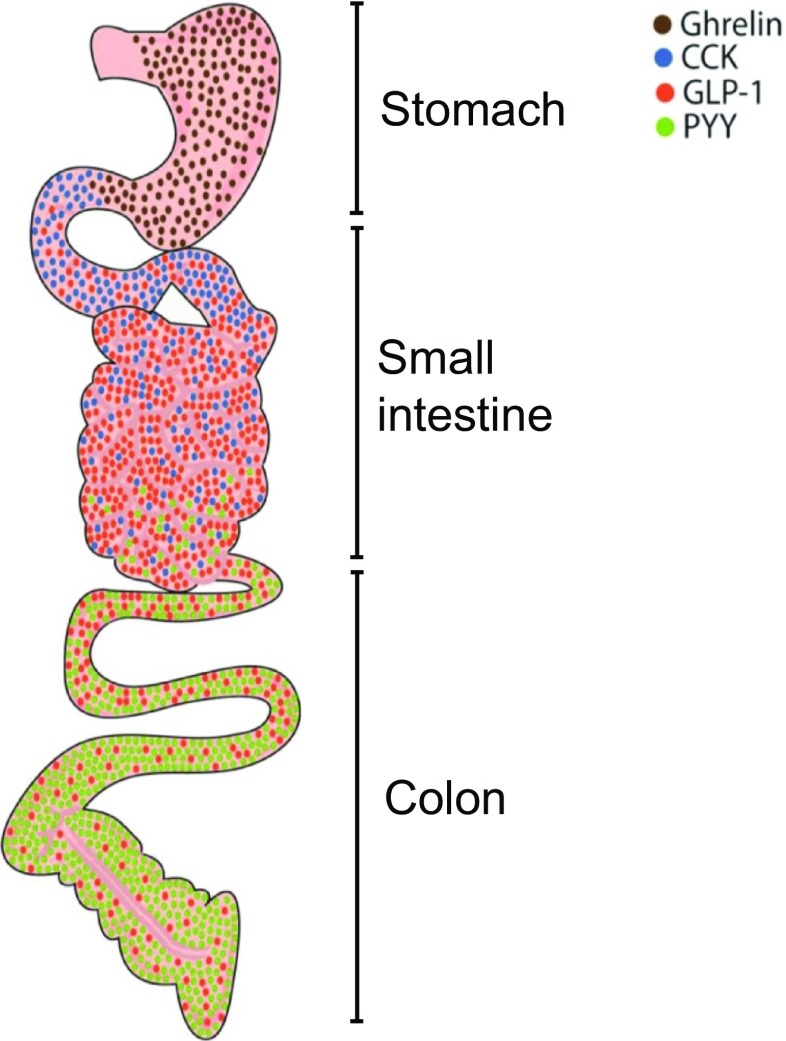 Fig. 2