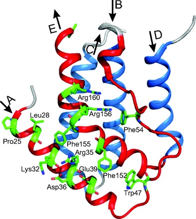 Fig. 3.