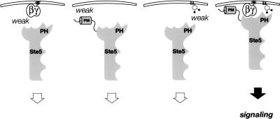 graphic file with name 1946fig8.jpg