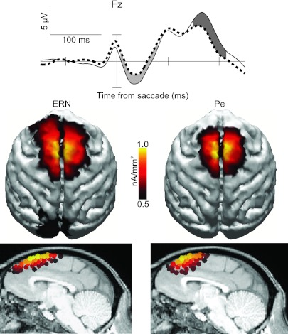 Fig. 6.