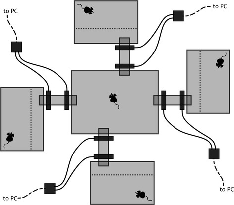 Fig. 1