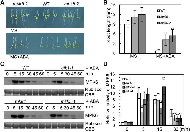 Figure 6.