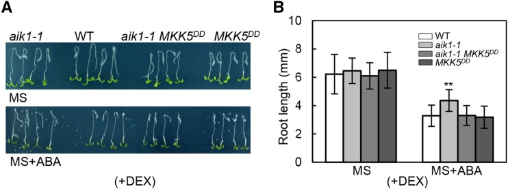 Figure 5.