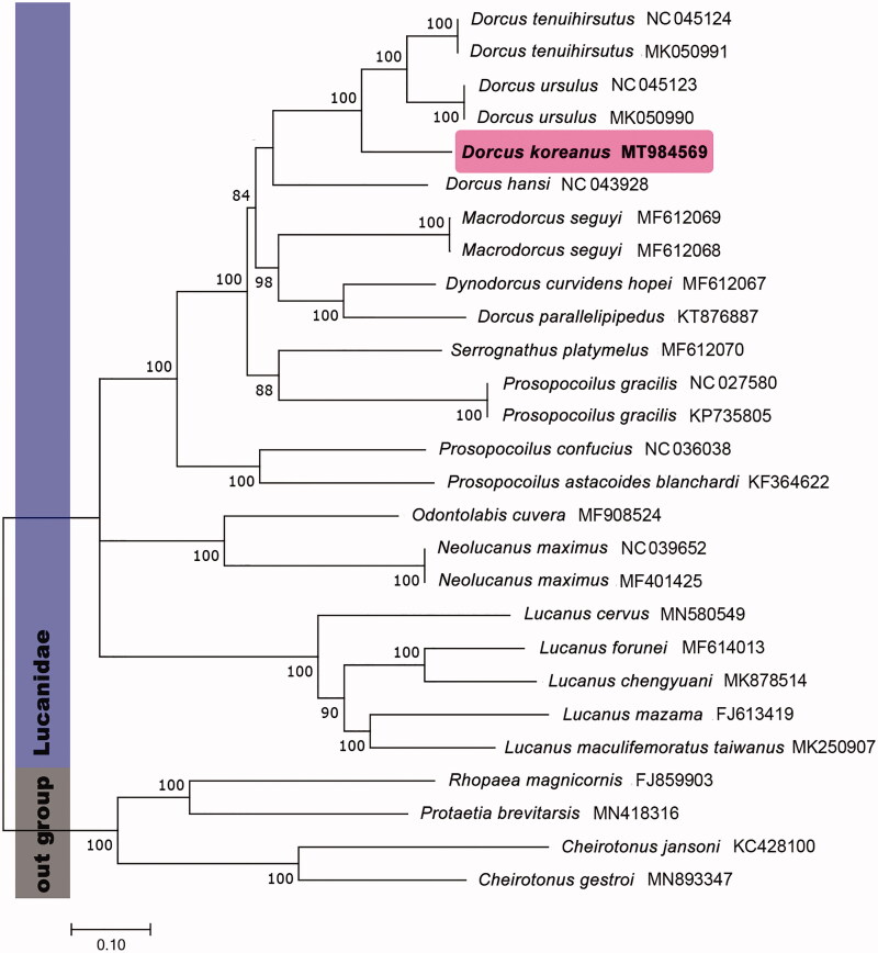 Figure 1.