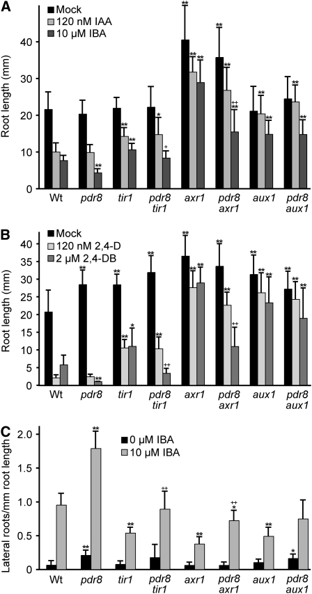 Figure 4.