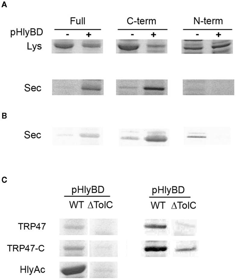 Figure 7