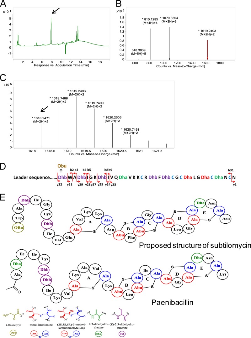 FIG 1