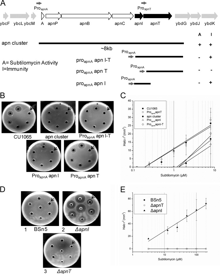 FIG 4