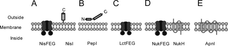 FIG 9